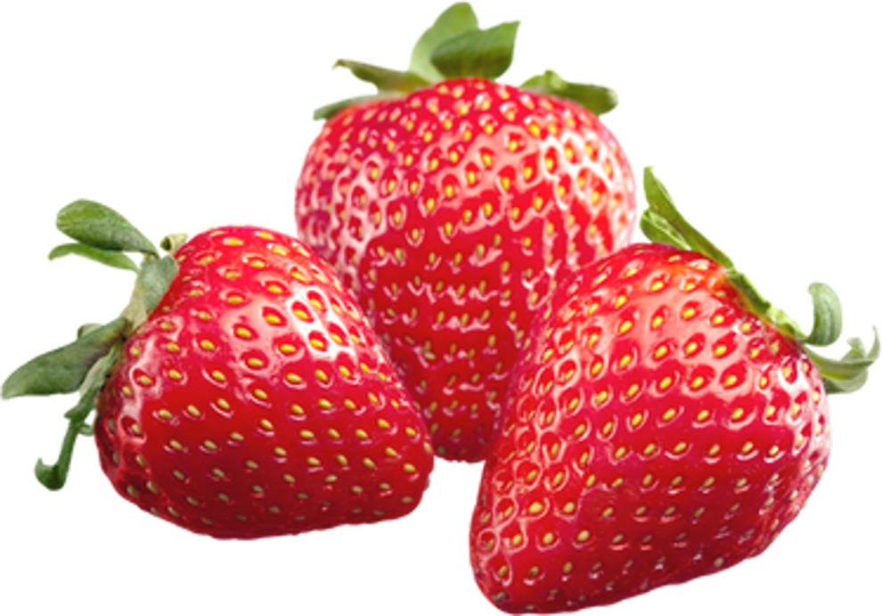 Fruit