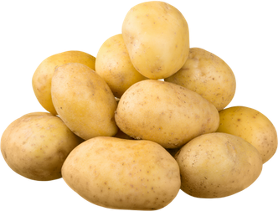 Fruit