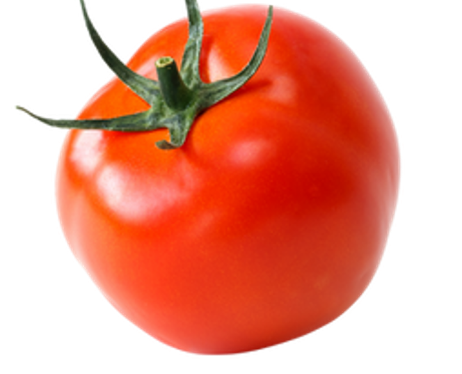 Fruit