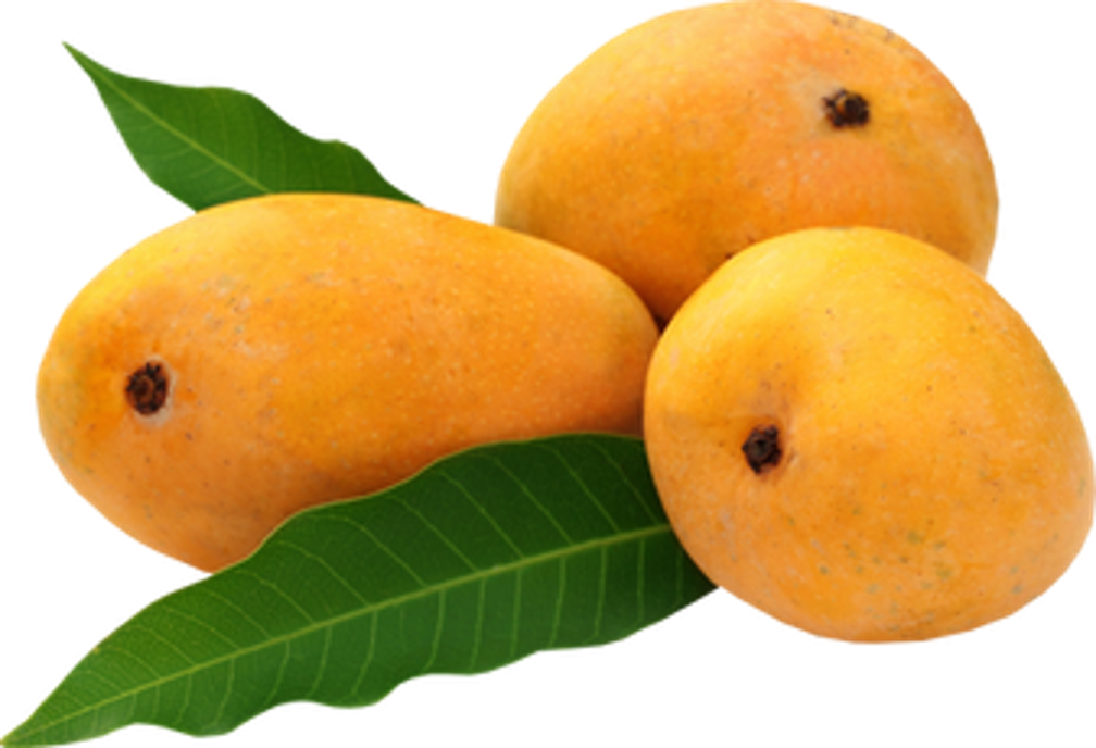 Fruit